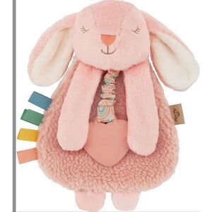 Itzy Ritzy Ana The Bunny Teether Lovey Tags
